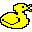 Chuckie the duck
